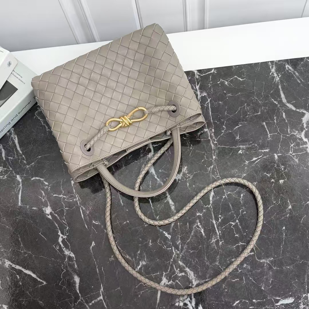 Bottega Veneta Andiamo bag