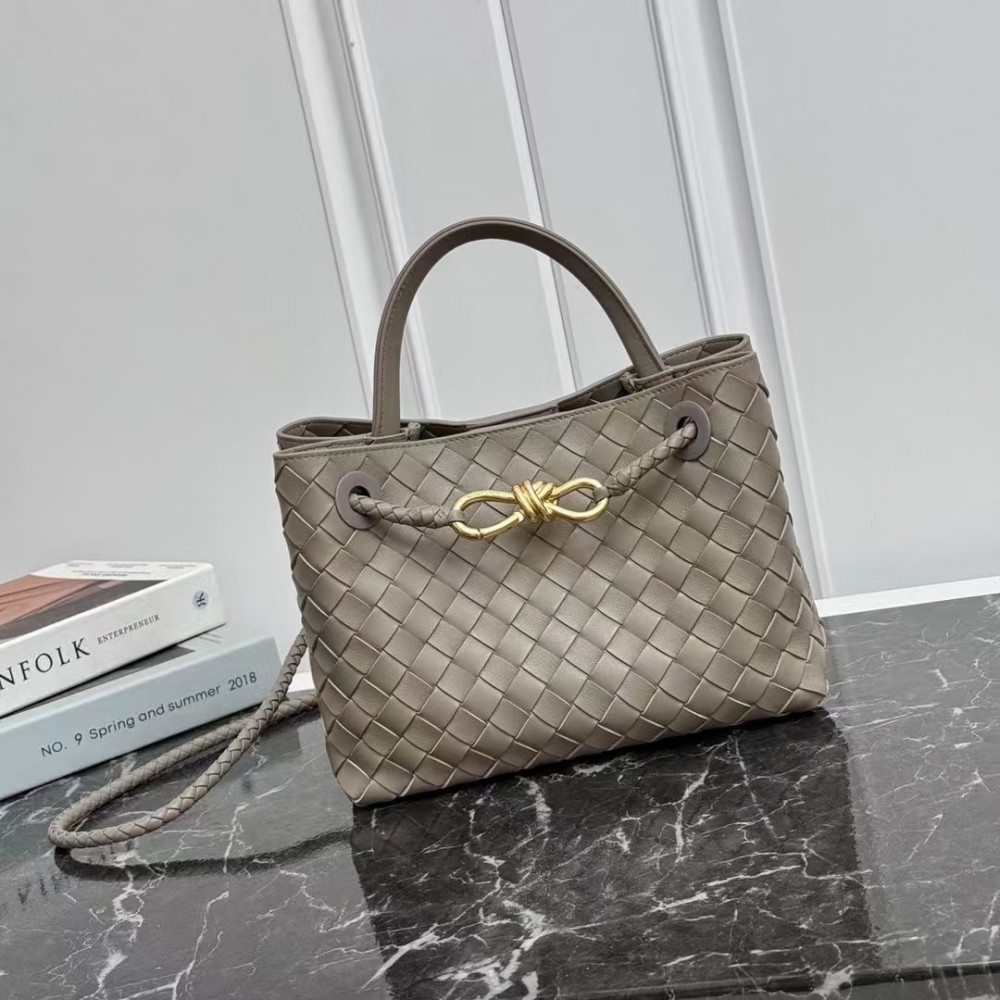 Bottega Veneta Andiamo bag