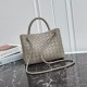 Bottega Veneta Andiamo bag