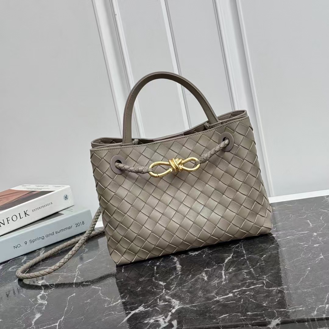 Bottega Veneta Andiamo bag