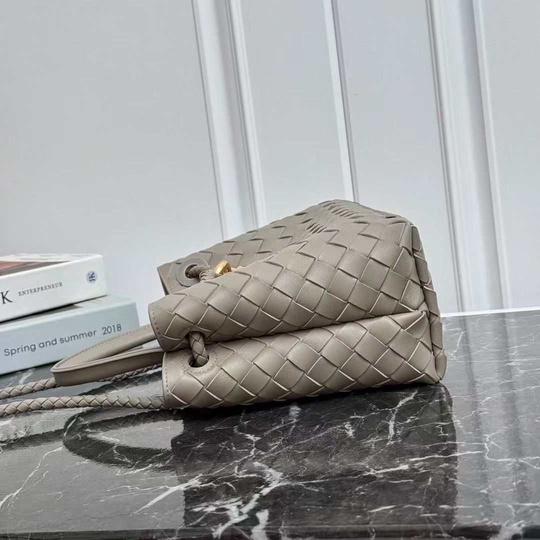 Bottega Veneta Andiamo bag
