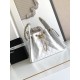 Chanel Spring 25C Hobo Small Handbag White Chanel Spring 25C Hobo Small Handbag White