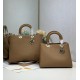 Dior Toujours Bag Dior Toujours Bag