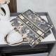 Dioriviera Medium Dior Book Tote