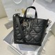 Medium Dior Toujours Vertical Tote Bag Medium Dior Toujours Vertical Tote Bag