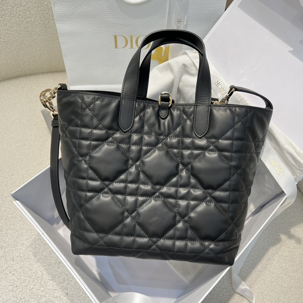 Medium Dior Toujours Vertical Tote Bag