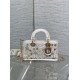 DIOR Small D-Joy Bag Latte Cannage Calfskin Embroidered With Multicolor Beads Women DIOR Small D-Joy Bag Latte Cannage Calfskin Embroidered With Multicolor Beads Women