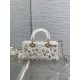 DIOR Small D-Joy Bag Latte Cannage Calfskin Embroidered With Multicolor Beads Women DIOR Small D-Joy Bag Latte Cannage Calfskin Embroidered With Multicolor Beads Women