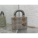 Dior Lady D Small Gray Metallic With Bead Embroidery shoulder Bag Dior Lady D Small Gray Metallic With Bead Embroidery shoulder Bag