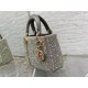 Dior Lady D Small Gray Metallic With Bead Embroidery shoulder Bag Dior Lady D Small Gray Metallic With Bead Embroidery shoulder Bag