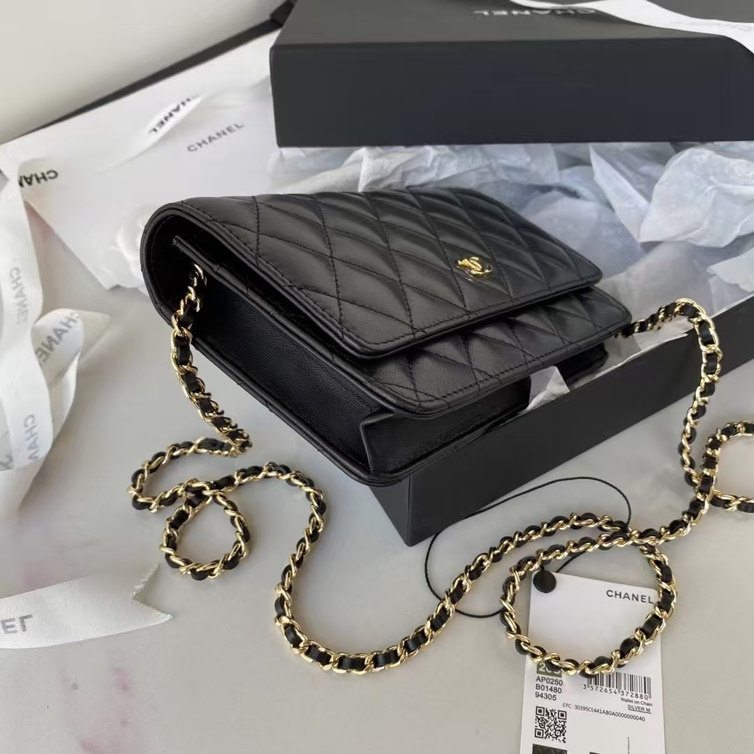 Chanel Classic Wallet On Chain-Black Crossbody Bags