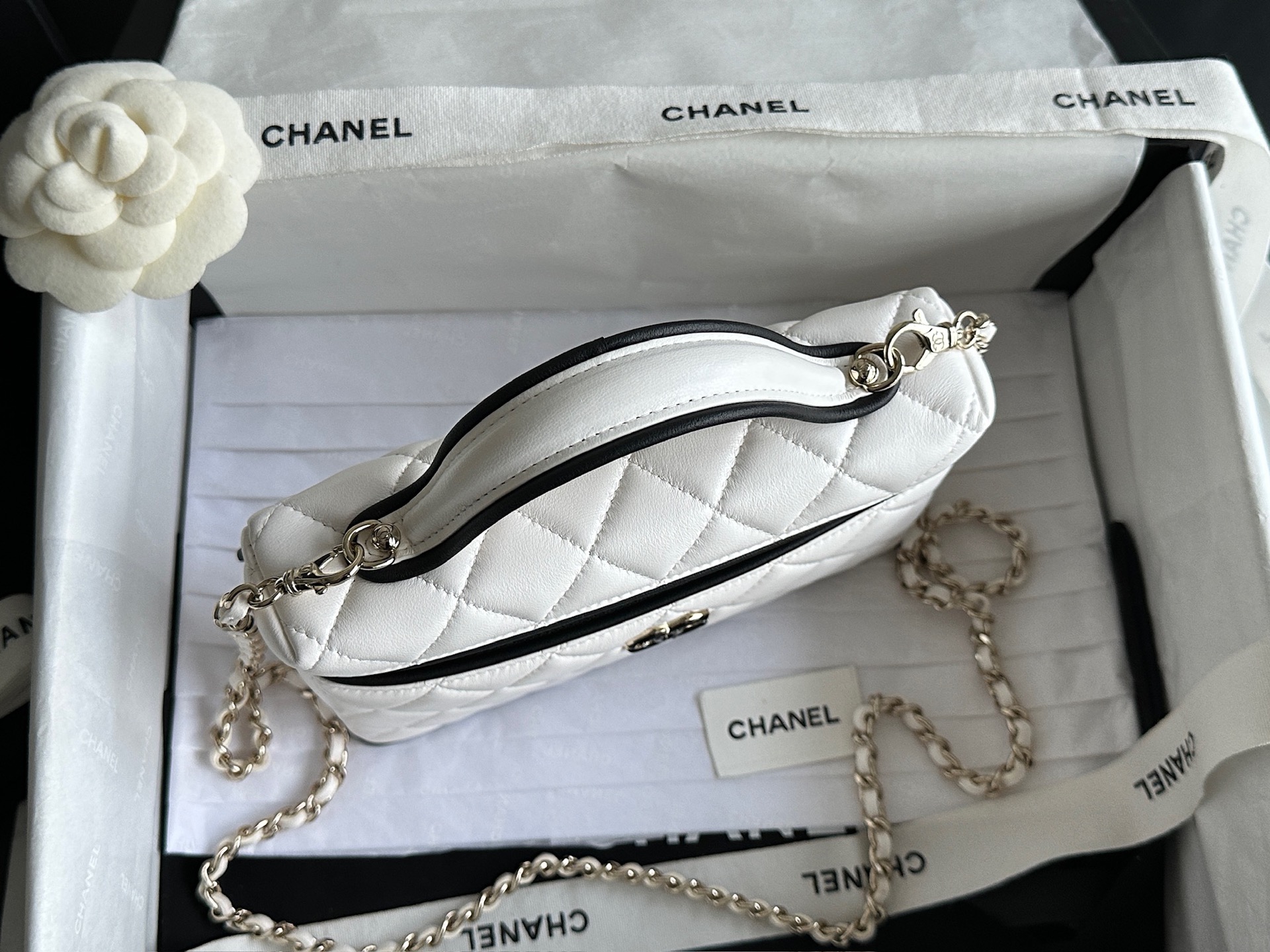 Chanel 26ss Slim Vanity Panda Color blocked LP Box Bag