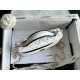 Chanel 26ss Slim Vanity Panda Color blocked LP Box Bag