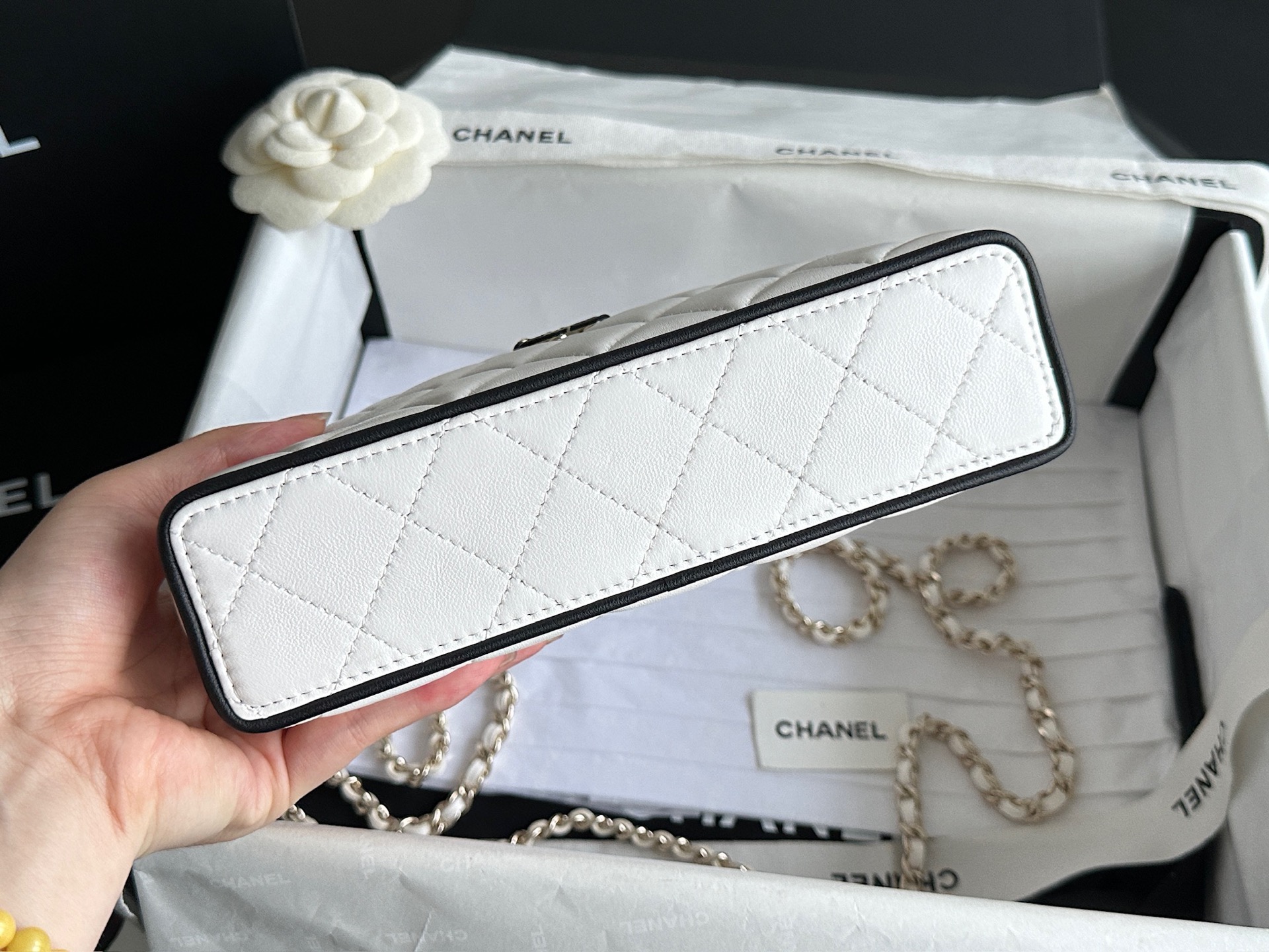 Chanel 26ss Slim Vanity Panda Color blocked LP Box Bag