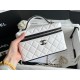 Chanel 26ss Slim Vanity Panda Color blocked LP Box Bag
