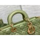 DIOR Medium Lady D-Joy Bag Green