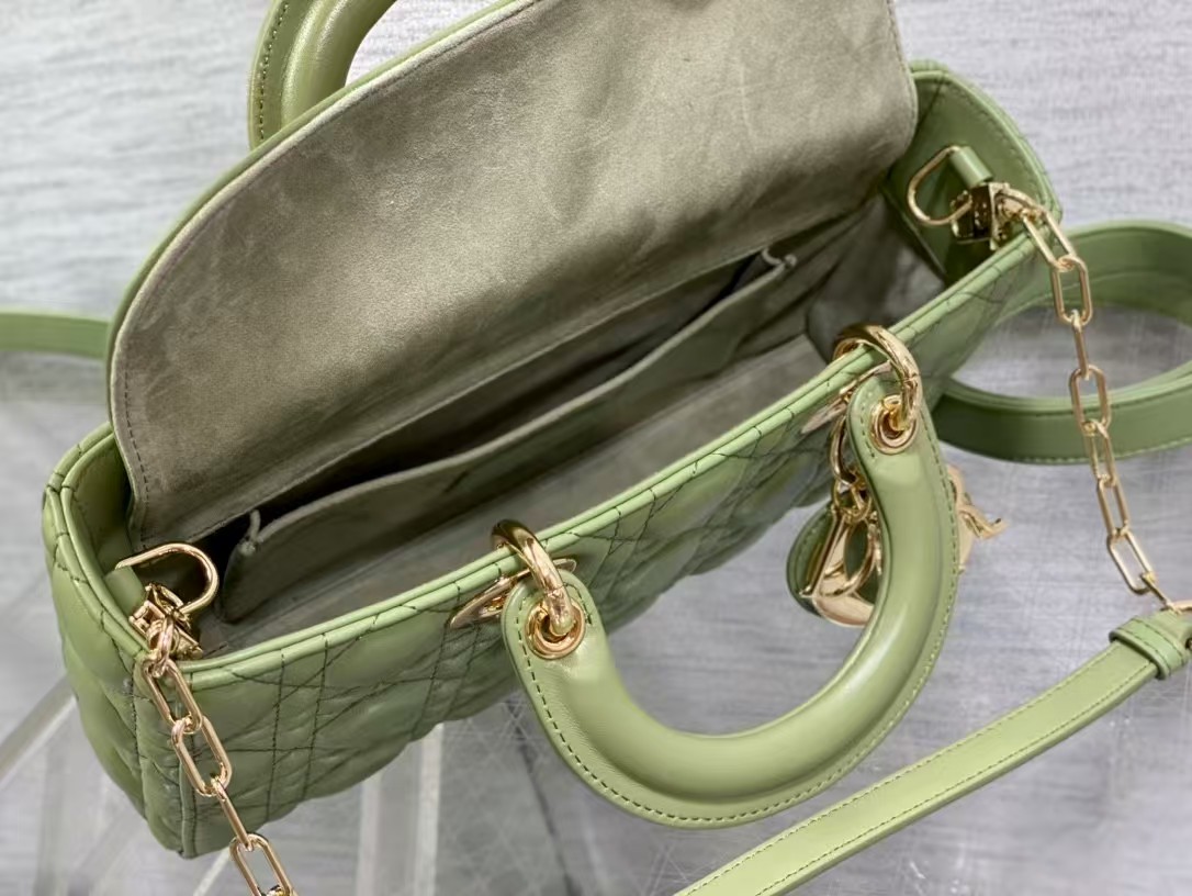 DIOR Medium Lady D-Joy Bag Green