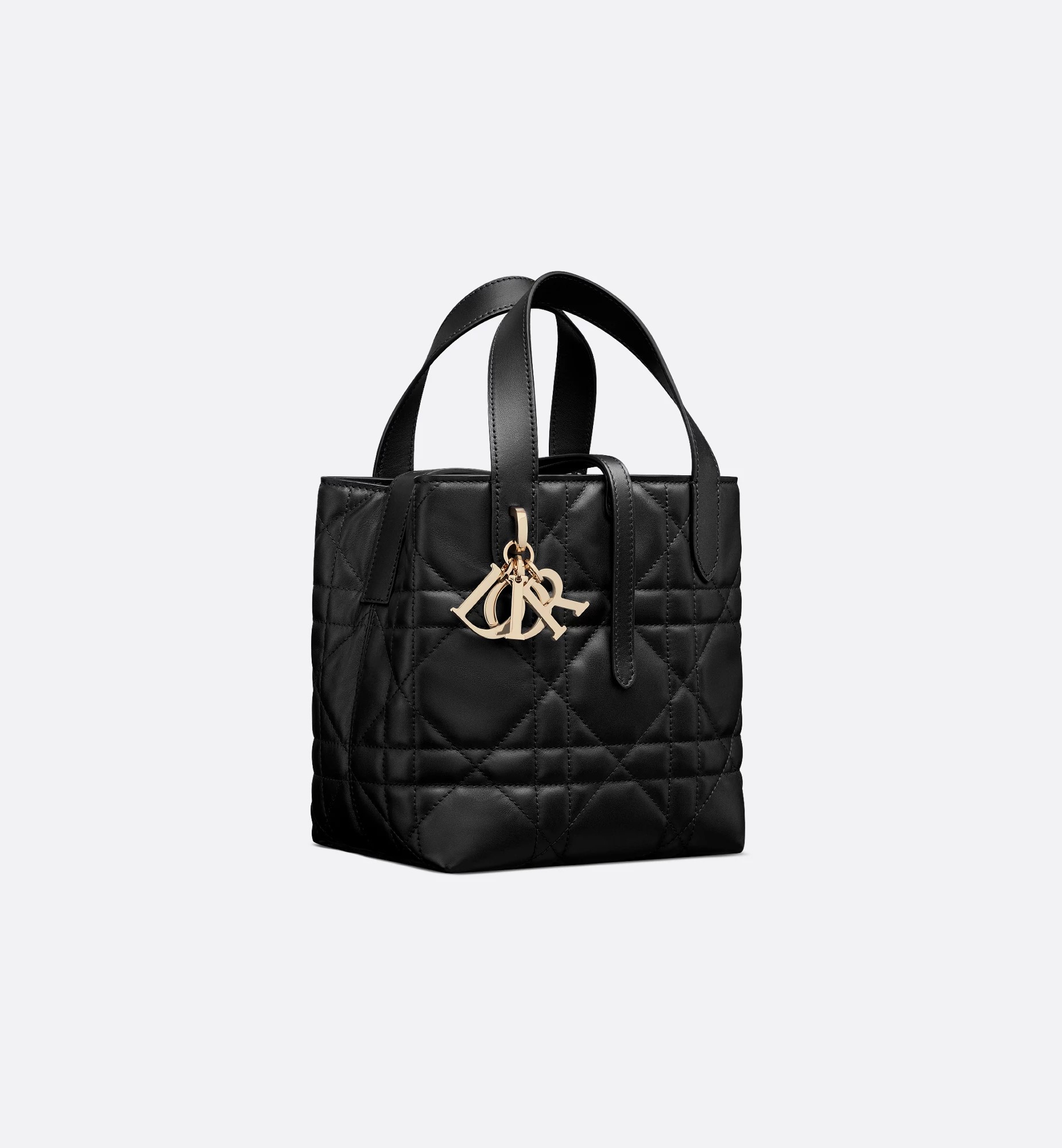 Medium Dior Toujours Vertical Tote Bag Medium Dior Toujours Vertical Tote Bag