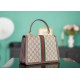 GUCCI Ophidia medium top handle bag