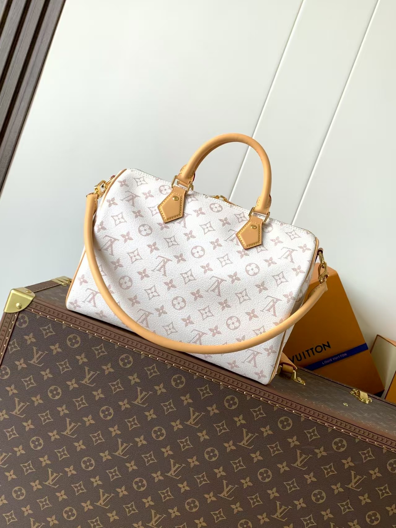 Louis Vuitton Speedy Soft 30 Lucky