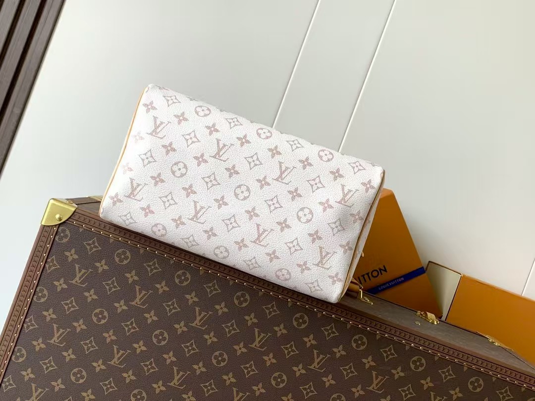 Louis Vuitton Speedy Soft 30 Lucky