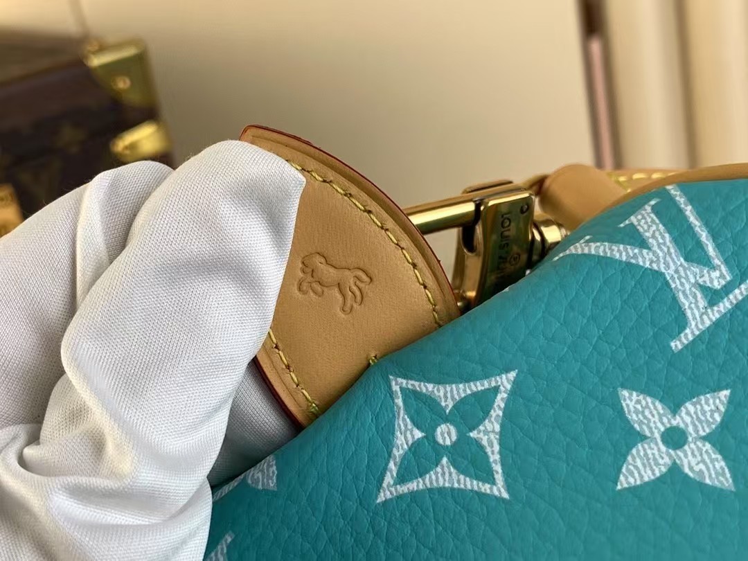 LOUIS VUITTON Speedy P9 Bandoulière 25 Autres Cuirs Monogram