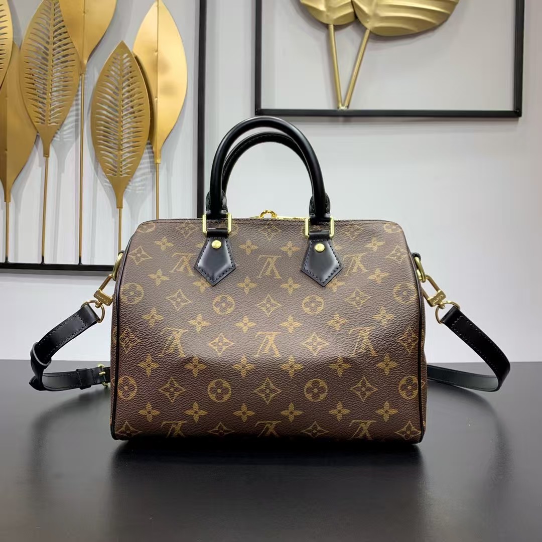 Louis Vuitton Speedy 25 monogram with black leather