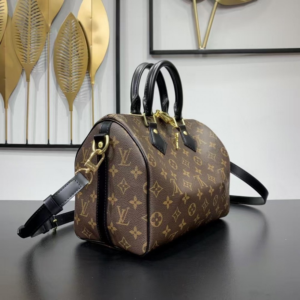 Louis Vuitton Speedy 25 monogram with black leather