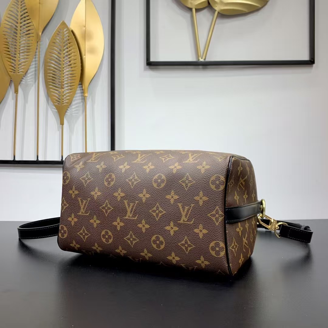 Louis Vuitton Speedy 25 monogram with black leather