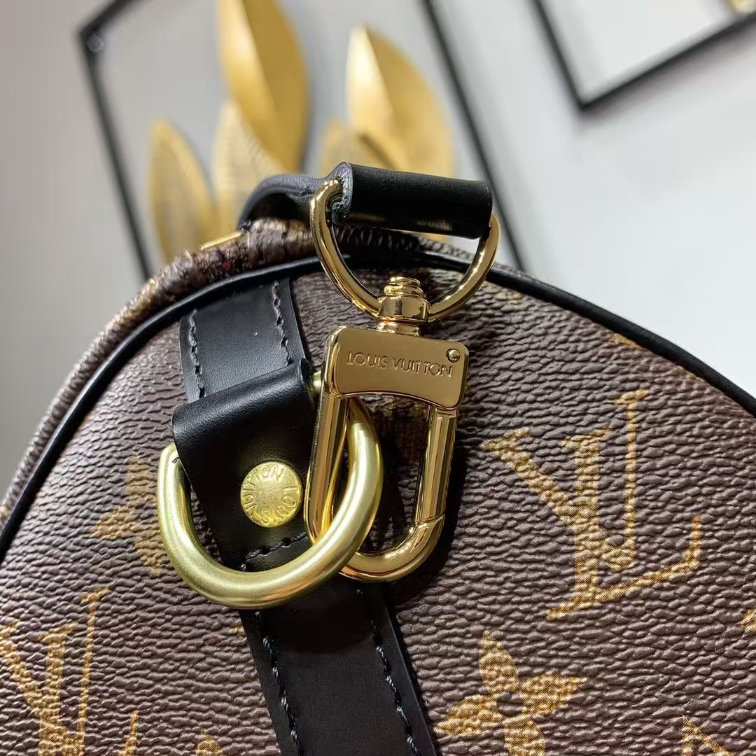 Louis Vuitton Speedy 25 monogram with black leather