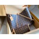 LOUIS VUITTON CamyalI BB Monogram Large