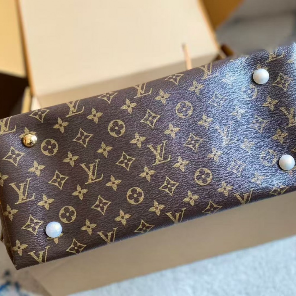 LOUIS VUITTON CamyalI BB Monogram Large