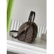 Louis Vuitton Speedy Bandoulière 25
