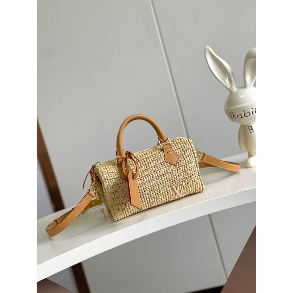 Louis Vuitton Speedy 25 Bandoulière Other Canvas