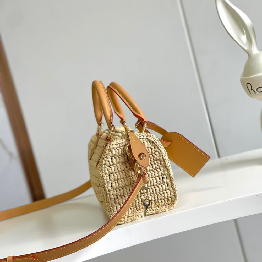 Louis Vuitton Speedy 25 Bandoulière Other Canvas