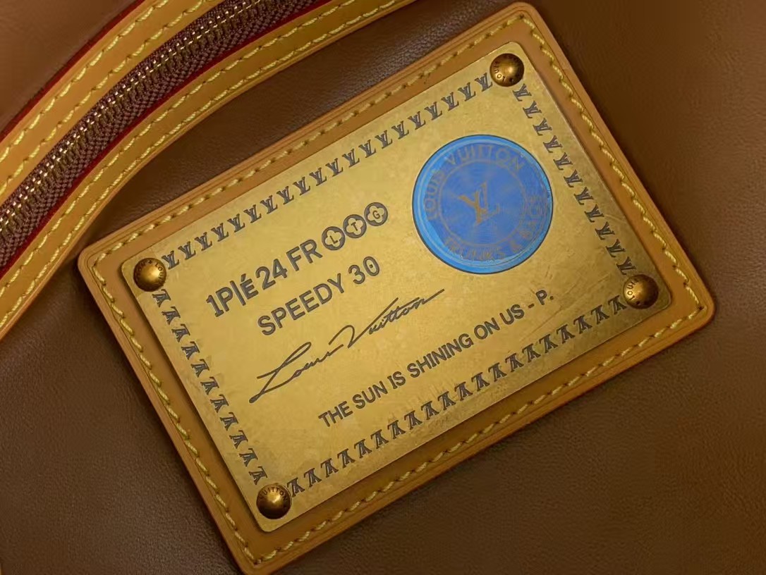 LOUIS VUITTON Speedy P9 Bandoulière 30 Lake Green