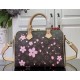 Louis Vuitton Takashi Murakami Cherry Blossom Speedy Bandouliere 25