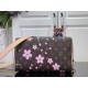 Louis Vuitton Takashi Murakami Cherry Blossom Speedy Bandouliere 25