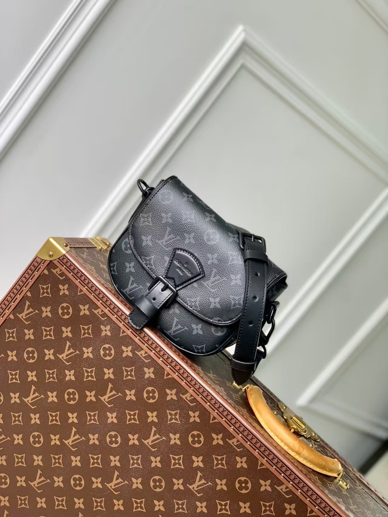 Louis Vuitton Satchel Bags