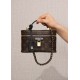 Louis VuittonVanity Chain Pouch onogram Reverse Canvas