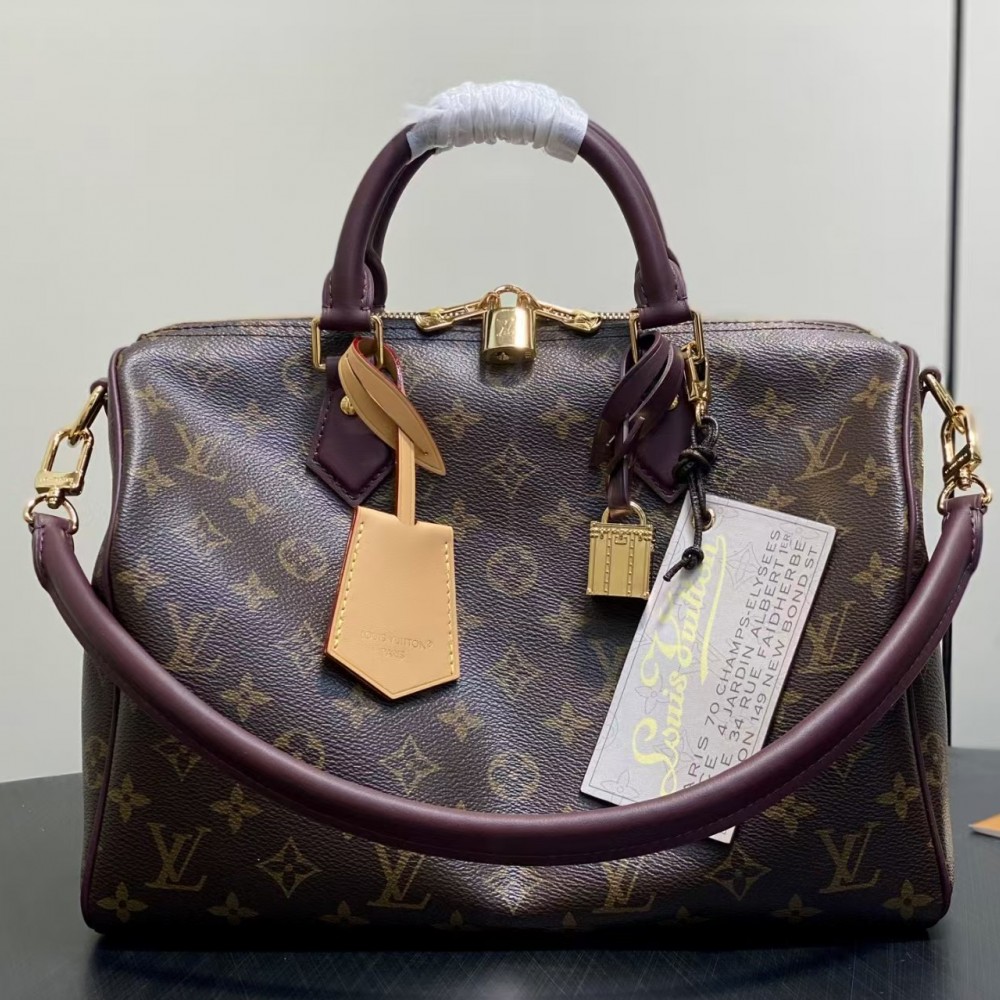 Louis Vuitton Speedy 30 Soft Celebration Monogram