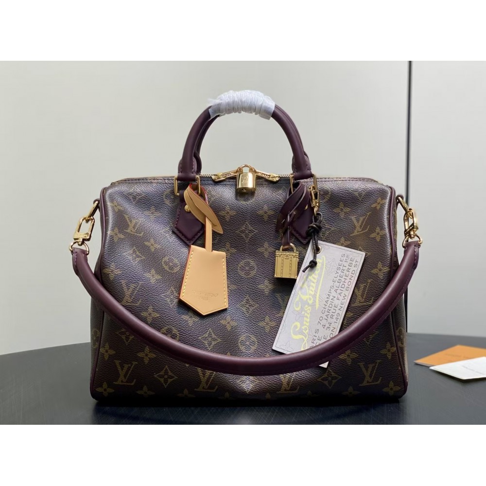 Louis Vuitton Speedy 30 Soft Celebration Monogram