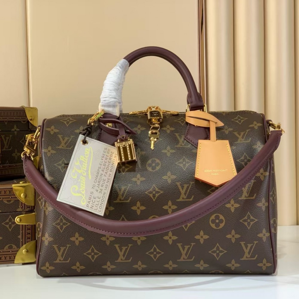 Louis Vuitton Speedy 30 Soft Celebration Monogram