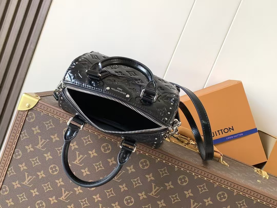 Louis Vuitton Speedy Trunk 20