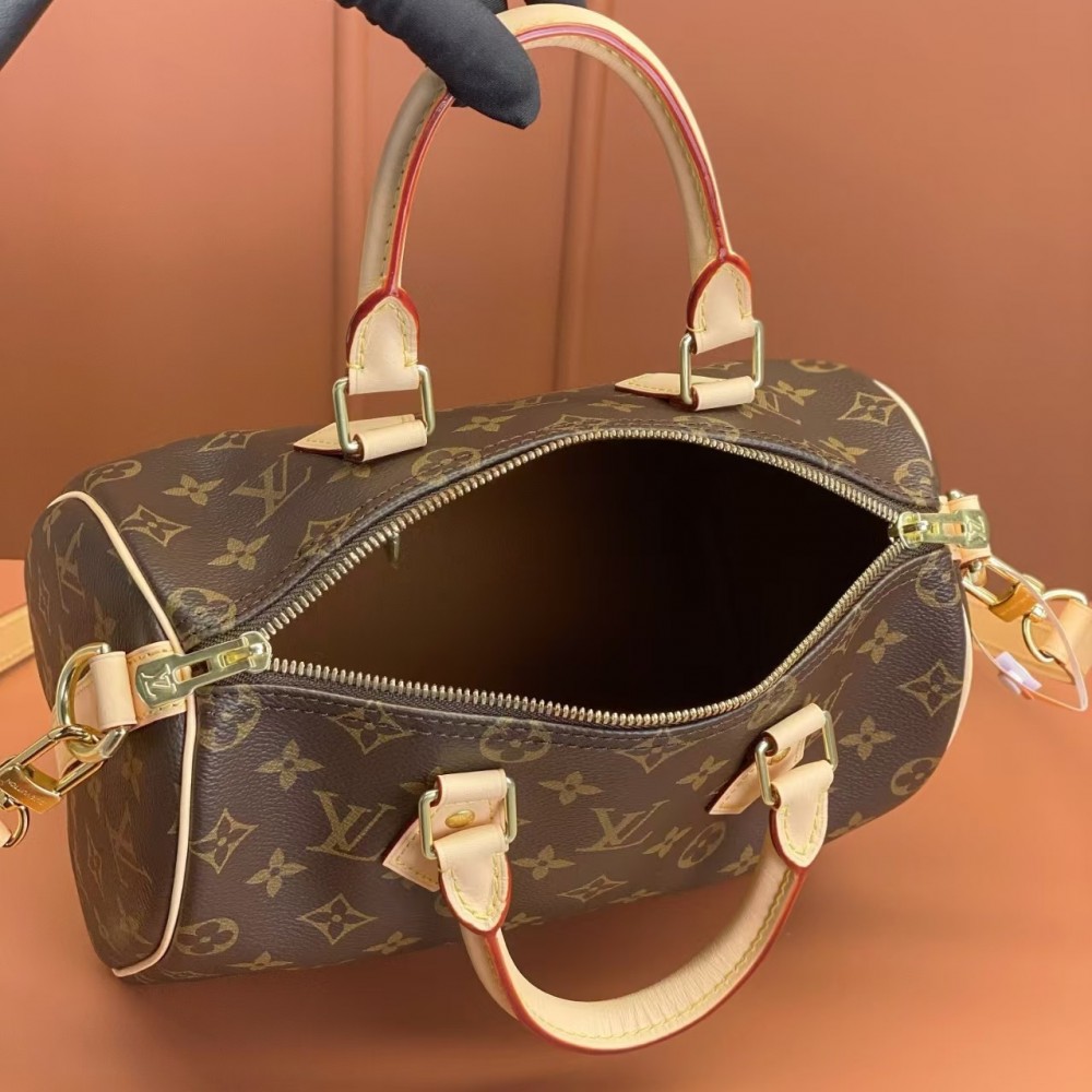 Louis Vuitton Nano Speedy 25