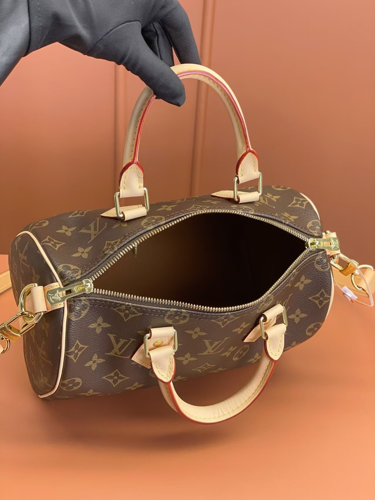 Louis Vuitton Nano Speedy 25