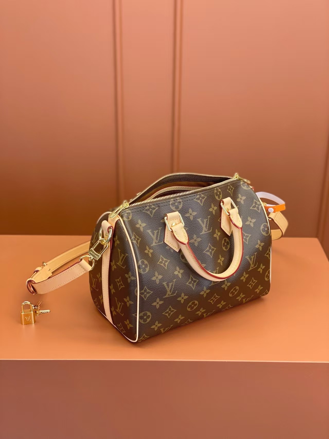 Louis Vuitton Nano Speedy 25