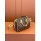 Louis Vuitton Nano Speedy 25