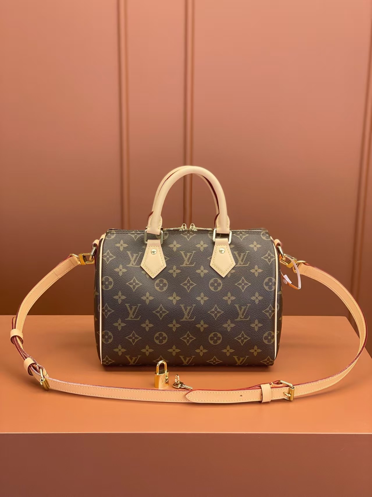 Louis Vuitton Nano Speedy 25
