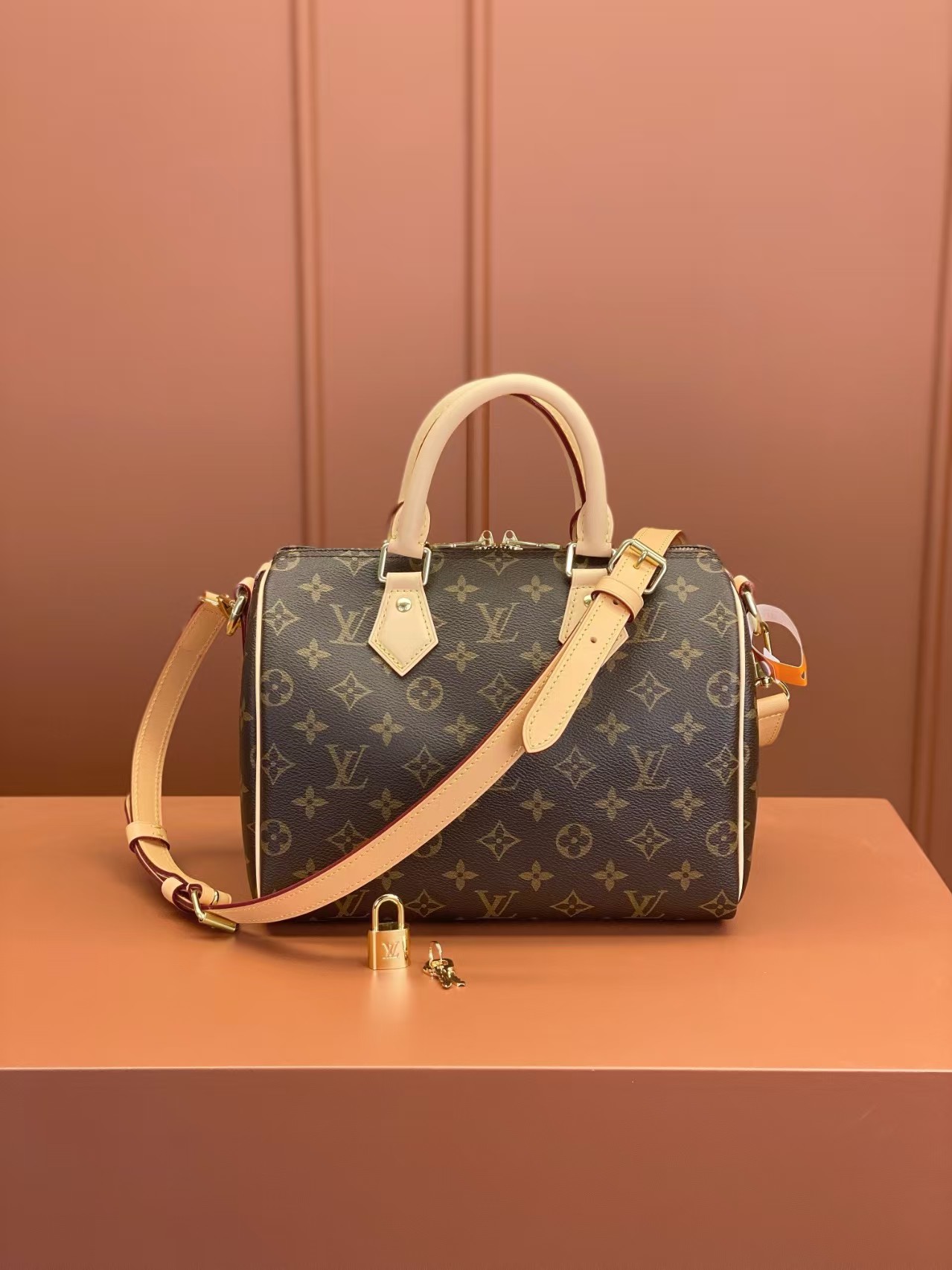 Louis Vuitton Nano Speedy 25